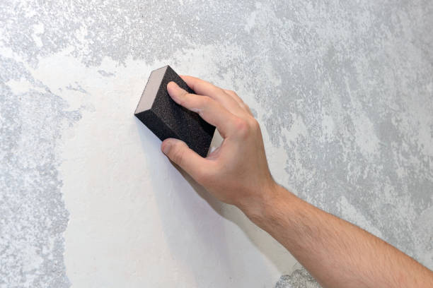 Best Water Damage & Mold Remediation  in Fowler, MI