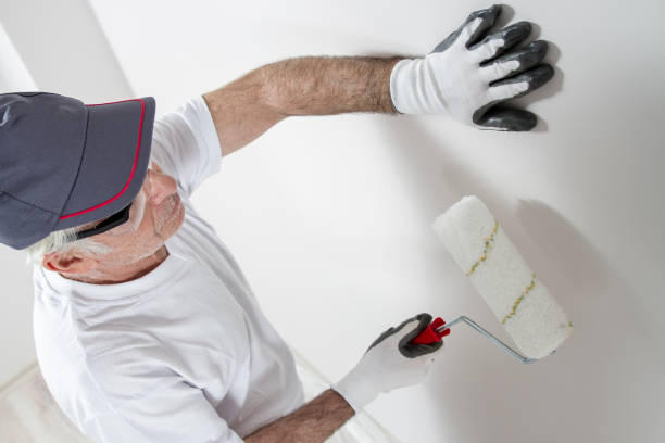 Best Air Quality Testing for Mold Spores  in Fowler, MI