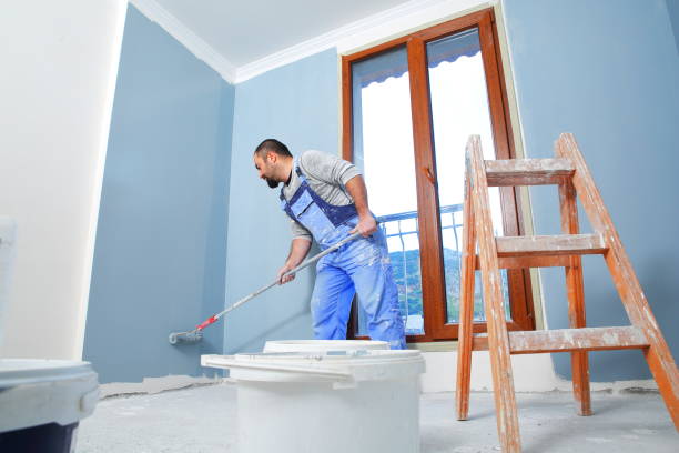Best Dehumidification Services  in Fowler, MI