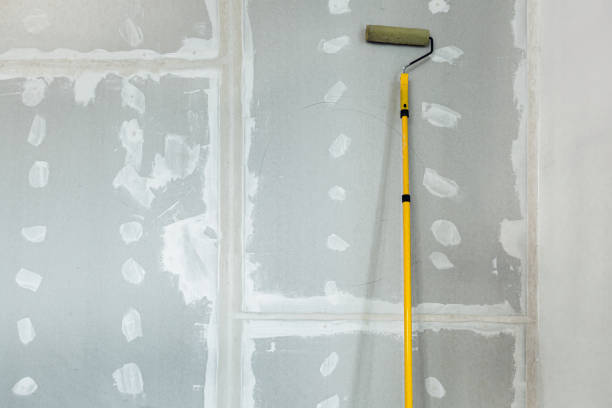Best Biohazard Mold Removal  in Fowler, MI
