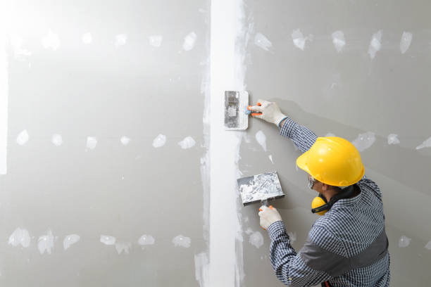 Asbestos and Lead Testing During Mold Inspection in Fowler, MI