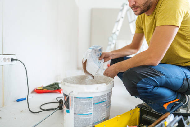 Best Comprehensive Air Testing for Mold Contaminants  in Fowler, MI