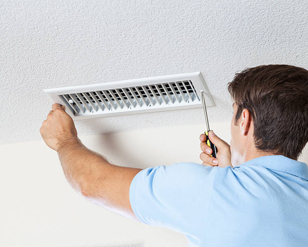 Best Emergency Mold Remediation  in Fowler, MI