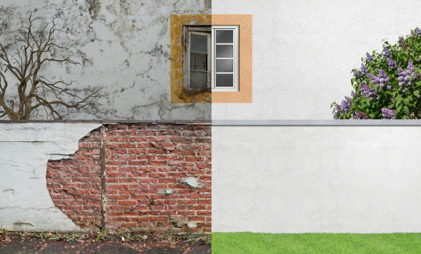Best Basement Mold Removal  in Fowler, MI