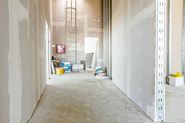 Best Attic Mold Removal  in Fowler, MI