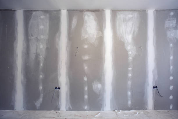 Best Post-Construction Mold Inspection  in Fowler, MI